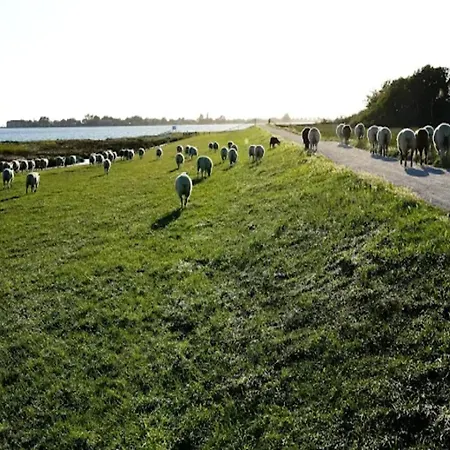 In The Avalon Bellevue, Φέμαρν