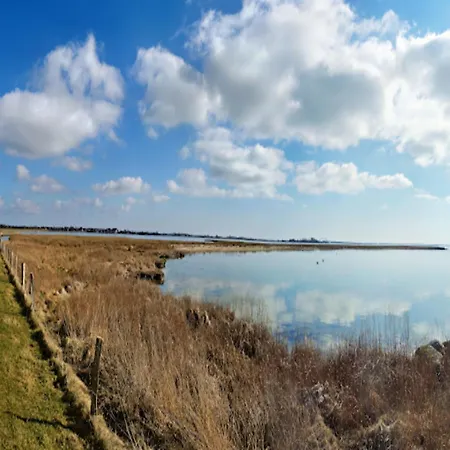 In The Avalon Bellevue, * Φέμαρν