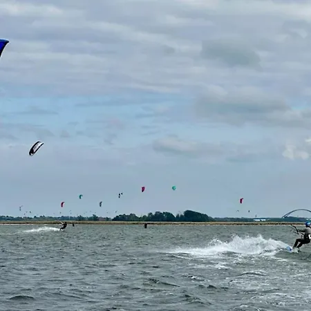 In The Avalon Bellevue, Φέμαρν